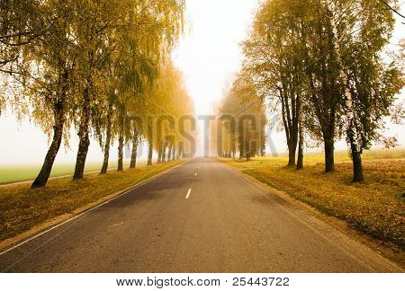 Weg zu einem Nebel (Herbst)