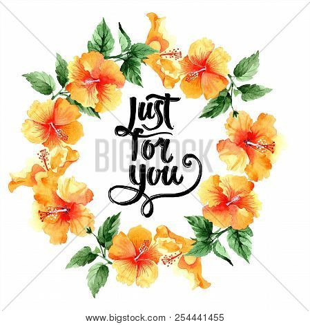 Watercolor Orange Naranja Hibiscus Flowers. Floral Botanical Flower. Frame Border Ornament Square.