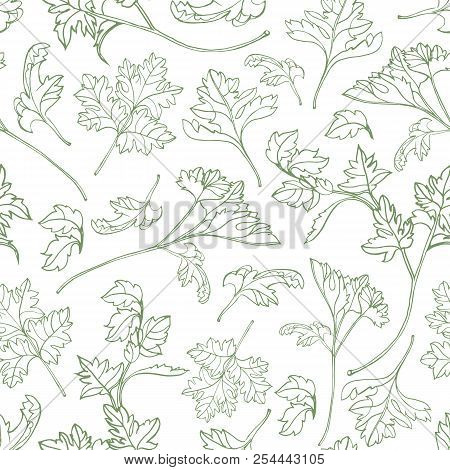 Natural Seamless Pattern With Parsley Leaves Hand Drawn With Green Contour Lines On White Background