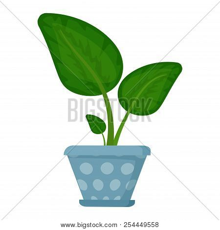 House Plant In Flower Pot. Decorative Indoor Houseplant. Office And House Plant. Vector Illustration