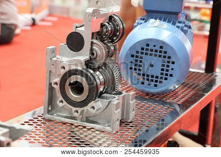 Cross Section Of Worm Gear Pump ; Selective Focus