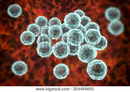 Chlamydia Trachomatis Bacteria, 3d Illustration, The Causative Agent Of Chlamydiosis