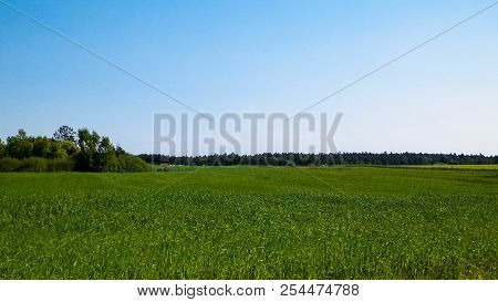 Nature Landscape Of Green Field In Kashubian Village. Nature And Agriculture Concept.