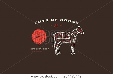 Stock Vector Horse Cuts Diagram In Thin Line Style. Design With Rough Texture. Color Print On Black 