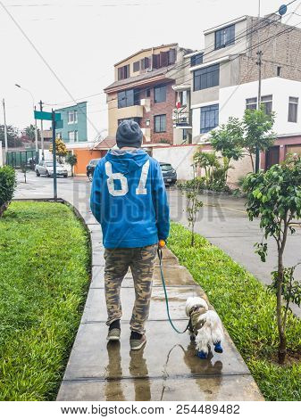 Man And Dog Walking On The Sidewalk Of A Park