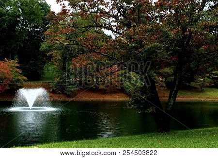 The Beauty A Pond Surrounded By Fall