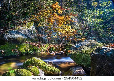 Pesio Creek And His Falls In Cotian Alps, In The Northern Of Italy
