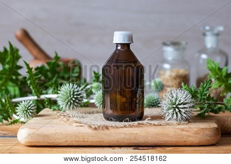 A Bottle Of Glandular Globe-thistle Tincture With Fresh Blooming Echinops Sphaerocephalus