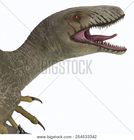 Dakotaraptor Dinosaur Head 3d Illustration - Dakotaraptor Was A Carnivorous Dromaeosaurid Theropod D