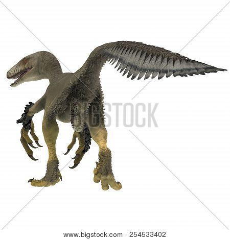 Dakotaraptor Dinosaur Tail 3d Illustration - Dakotaraptor Was A Carnivorous Dromaeosaurid Theropod D