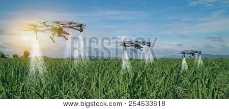 Iot Smart Agriculture Industry 4.0 Concept, Drone (in Precision Farm) Use For Spray A Water, Fertili