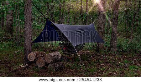 Camping Hammock And Raincover At Sunrise, With Firewood