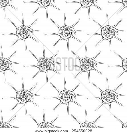 Seamless Pattern Unique Star Sea Shells Harpago Is A Genus Of Sea Snails, Marine Gastropod Mollusks 