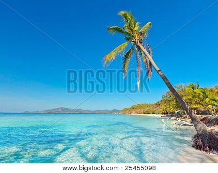 Tropical Beach Malcapuya