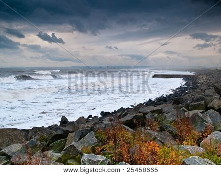 Shoreline