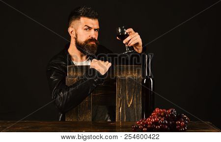 Winetasting And Degustation Concept. Sommelier Leans On Wooden Chair. Man With Beard Holds Glass Of 