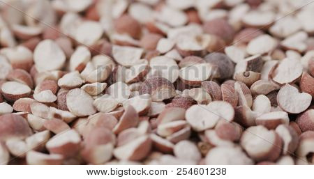 Chinese Gordon euryale seed
