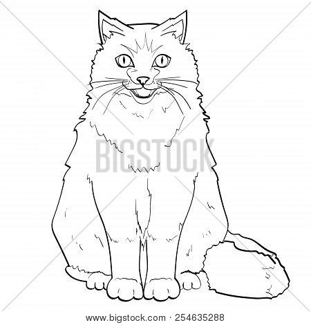 White Background, Black Lines. Pet. Siamese Cat Or Siberian Coloring Neva Masquerade. Vector