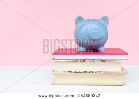 Savings For Educaion Concept, Piggy Bank On Pile Of Books
