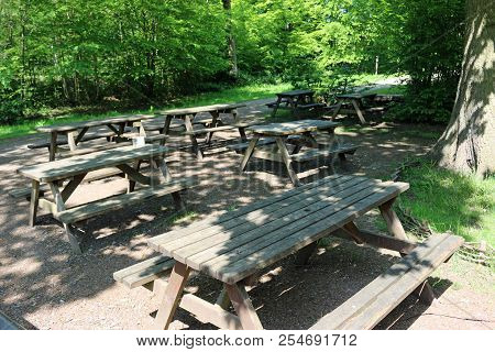 Wooden Picnic Tables In Woodland With Dappled Shade Surrounded By Trees With The Focus On The Table 