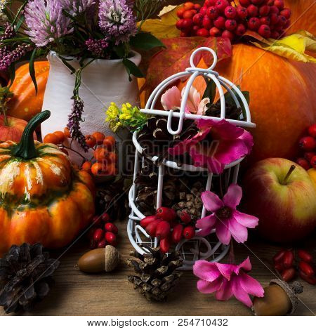 Thanksgiving Centerpiece With White Birdcage And Pink Flowers