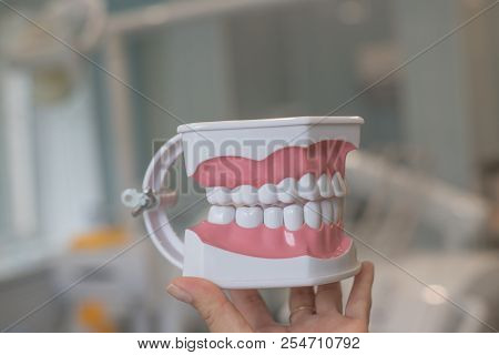 Perfectly Straight Teeth. Jaw Model, Close Up. Braces On The Teeth.teeth Model Dentures, Stomatology