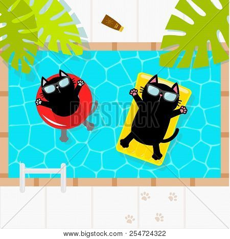 Swimming Pool. Black Cat Floating On Yellow Pool Float Water Mattress And Red Circle. Top Air View. 