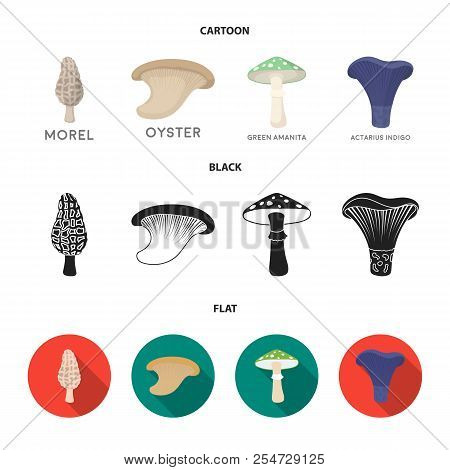 Morel, Oyster, Green Amanita, Actarius Indigo.mushroom Set Collection Icons In Cartoon, Black, Flat 