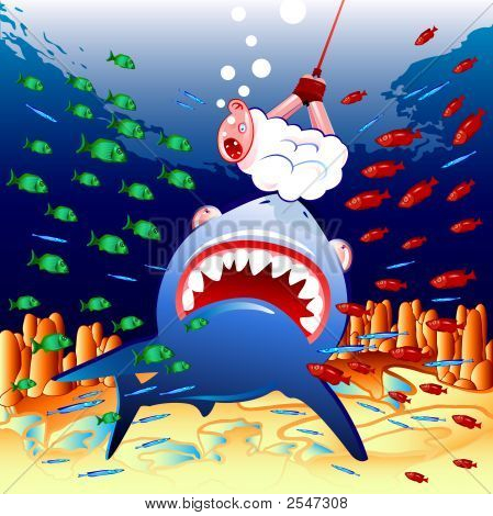 Sheep_And_Shark