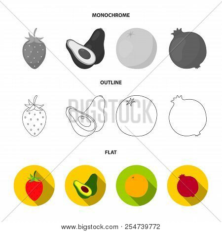 Strawberry, Berry, Avocado, Orange, Pomegranate.fruits Set Collection Icons In Flat, Outline, Monoch