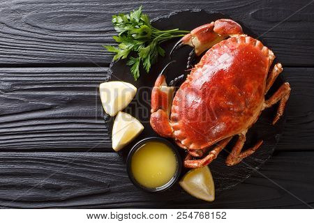 Delicious Traditional Boiled Whole Brown Crab With Sauce, Lemon And Parsley On A Slate Board Close-u