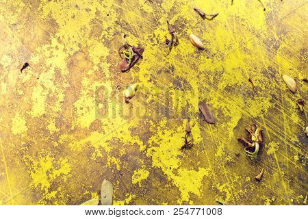 Yellow Colour Texture For Backgrounds Photo Image