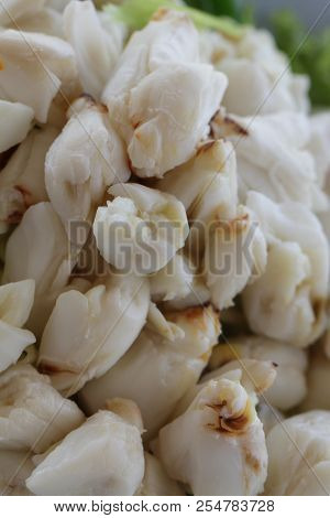 Full Plate Of Fresh Crab Meat Of Boiled Stone Crab Decorated With Vegetable Side Dish, Cheliped Of T