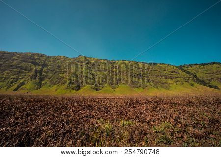 Mountain Stand By Meadow Like Me Stand By You