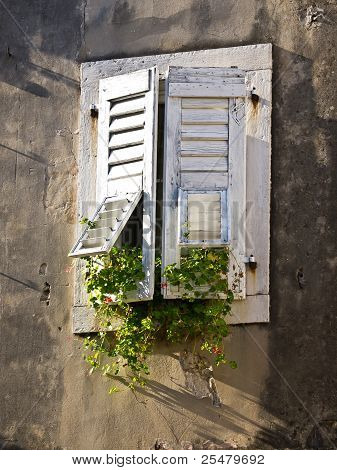 Window
