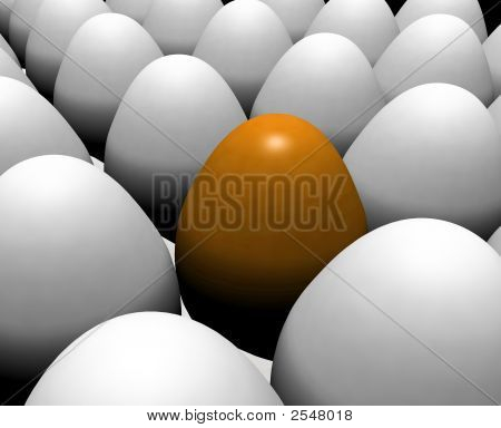 Eggs04