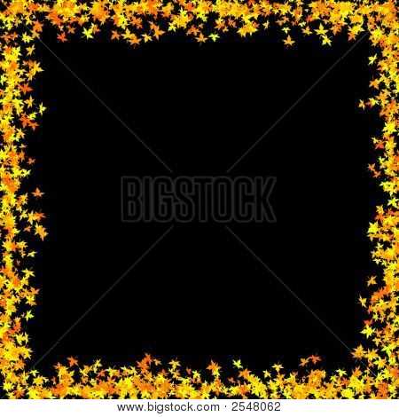 Leafborder01
