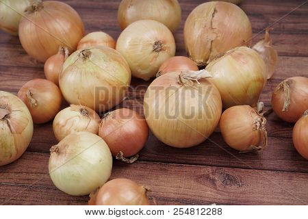 Fresh Onion Bulbs On Wooden Background. Vegetables For A Healthy Diet. Bulb Onion Is Rich In Vitamin