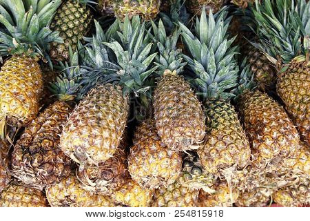 Mexico Yucatan Cancun Market Pineapple