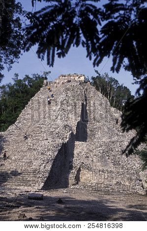 Mexico Yucatan Coba Maya Ruins