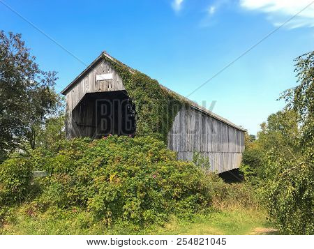 The Salmon Wooden Covered Bridge Near Sussex, New Brunswick, Canada, Unused And Overrun By Plant Vin