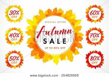 Set Of Autumn Sale Lable In Frame On Orange Maple Leaves. Fall Sale 30, 40, 50, 60, 70, 80% Off Back