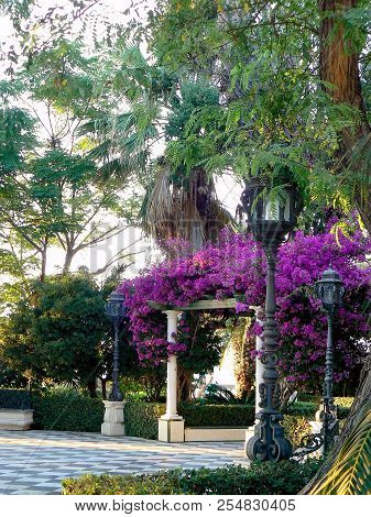 Gardens Of Alameda Apodaca In Cádiz Capital, Andalusia. Spain. Europe.