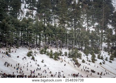 Snow On Michlifen