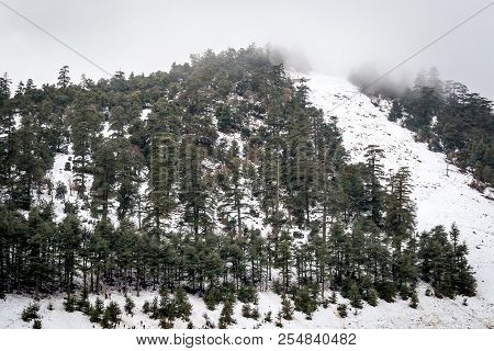 Snow On Michlifen