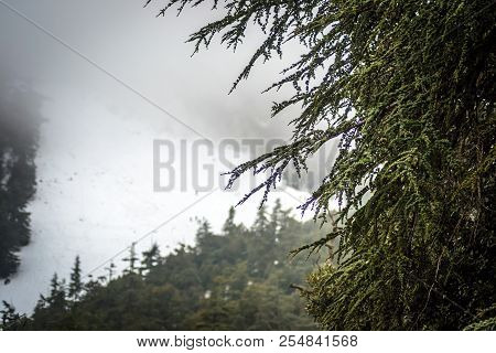 Snow On Michlifen