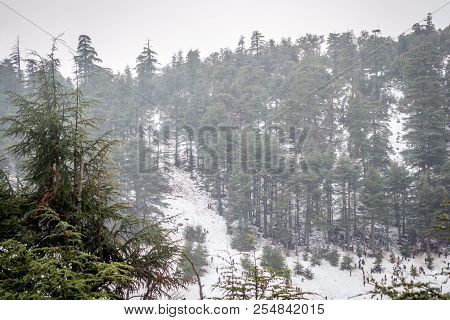 Snow On Michlifen