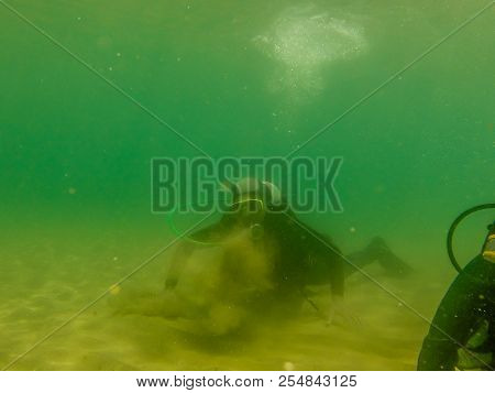 Diving Hobbie In Houcima Bay In Summer