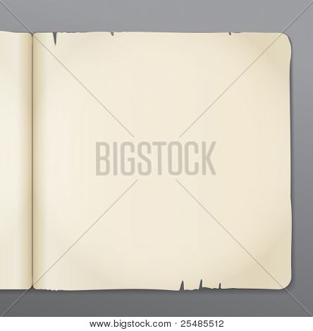 Antiguo fondo de páginas del libro abierto. Listo para el texto