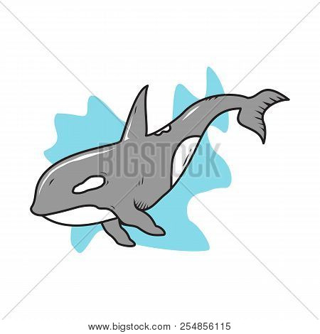 Vector Cute Cartoon Whale Illustration Vector Design